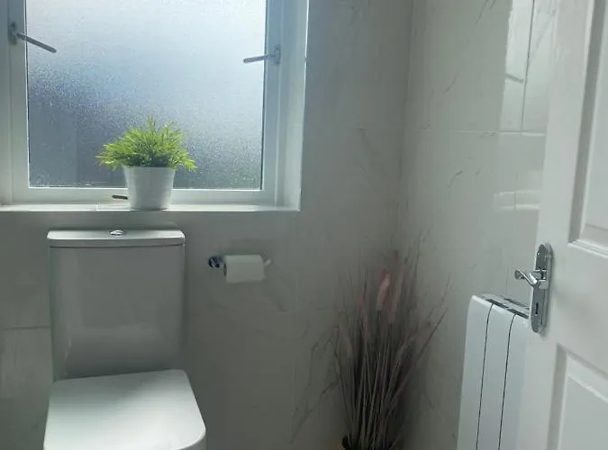 Cosy * Дангарван